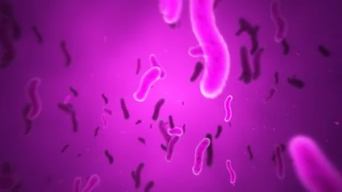 Animated Purple Bacteria in Plasma Stock Footage 72142705
