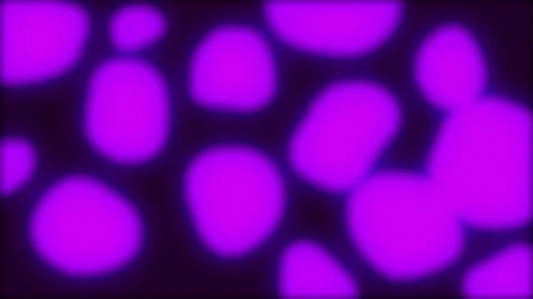Animated purple color fluid bubble background Video stock 199378355