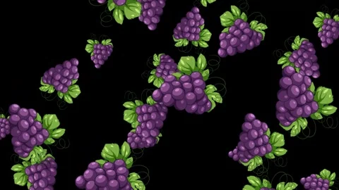 Animated Purple Grape Bunches Falling Against a Solid Black Background Stock Footage 345707805