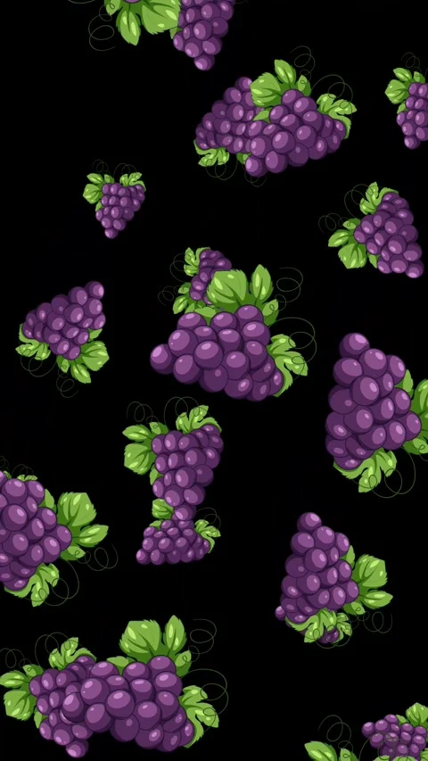 Animated Purple Grapes Falling Against a Solid Black Background Stock Footage 343820100