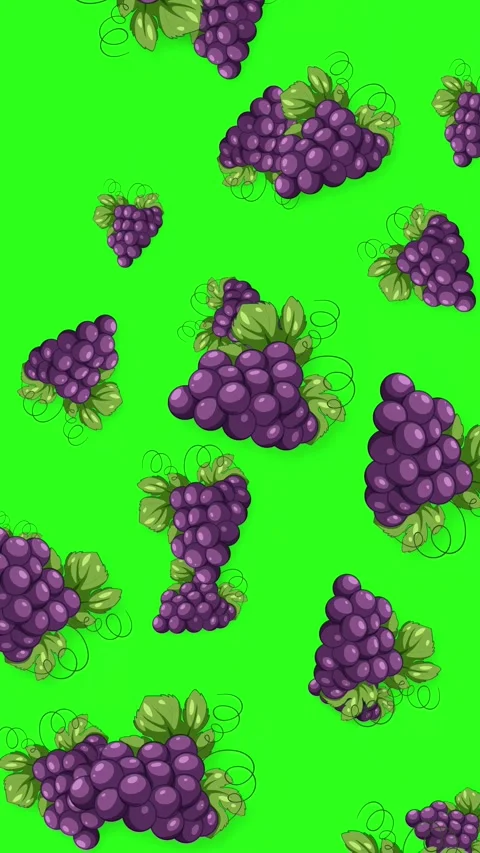 Animated Purple Grapes Falling Against a Bright Green Screen Background Stock Footage 344832134