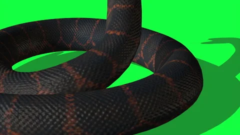Animated Python Snake With Green Screen ... | Stock Video | Pond5