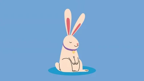 Animated rabbit character sitting on blue background with gentle movement f.. Stock Footage 334090729