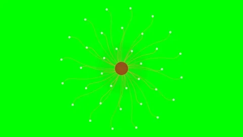 Animated Radial Particle System Expanding on a Green Screen Background Stock Footage 339925357