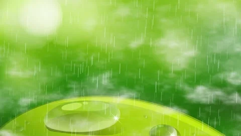 Animated Rain Falling on Green Leaf with Water Droplets Video stock 341838921