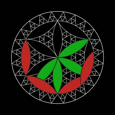 Animated reconstruction of an ancient romanesque floor mosaic with symmetrical Stock Footage 335885601