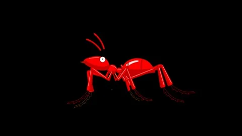Animated Red Ant Stock Footage 278343088