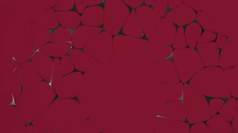 Animated red background with black lines 스톡 동영상 134561978