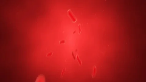 Animated Red Bacteria in Plasma Stock Footage 72140825