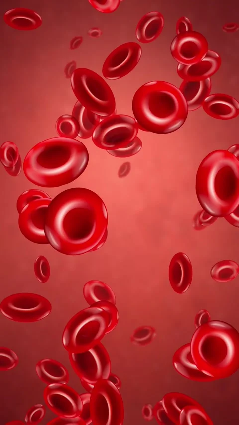 Animated Red Blood Cells Drifting Right in Vertical Loop Stock Footage 345308142