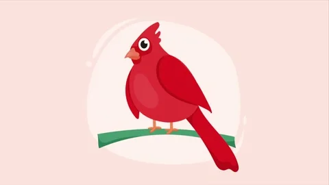 Animated red cardinal bird sitting on tree branch in flat illustration style. Video stock 338318653