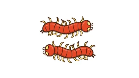 Animated Red Centipede Running - White Background Stock Footage 282785428