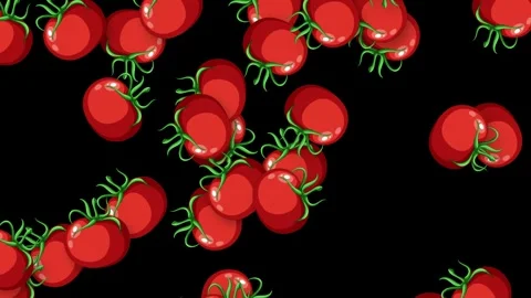 Animated Red Cherry Tomatoes Falling Downward Against Stock Footage 341643465