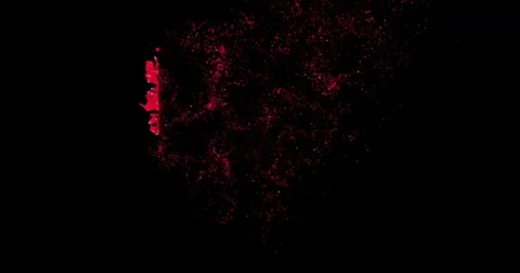 Animated of red heart shape of red rose petals, disintegration in red particle Stock Footage 82220150