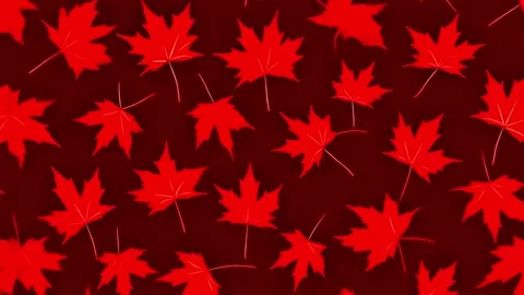 Animated Red Maple Leaves Autumn Background 库存影片 338066752
