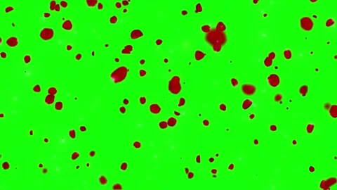 Animated red rose petals falling and swirling in slow motion against a bright Stock Footage 339257386