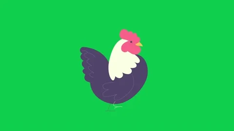 Animated rooster standing on green screen ideal for farm animation Stock Footage 309099491