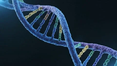 Animated Rotating DNA Double Helix Stock Footage 314805459