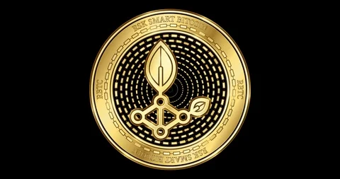 Animated RSK Smart Bitcoin (RBTC) cryptocurrency gold coin Stock Footage 102679007