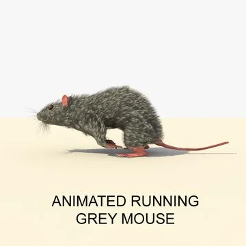 Animated Running Grey Mouse 3D Model