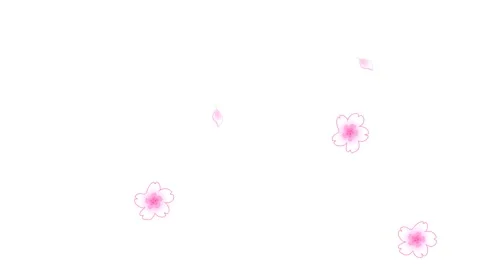 Animated Sakura Blossoms Floating in the Wind Stock Footage 278342025