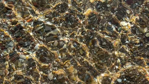 Animated sandy seabed in shallow water, showcasing a beautiful underwater sce Stock Footage 305389859