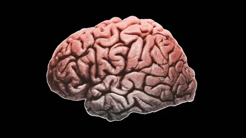 Animated sci-fi brain with neurons firing. Stock Footage 92199709