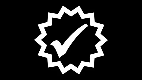 Animated Scribble Check Mark, Success Check Animation, Starburst Flat Style.. Video stock 307955572