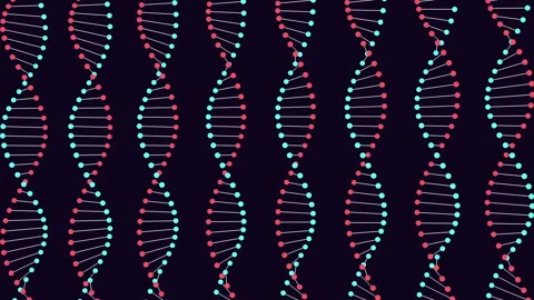 Animated seamless pattern of colorful DNA double helix strands on dark Stockbeeldmateriaal 334139176