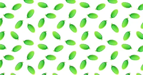 Animated Seamless Pattern with Cucumbers Stock Footage 240305091