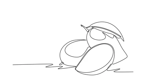 Animated self drawing of continuous line draw whole and half sliced healthy.. Stock Footage 276418330