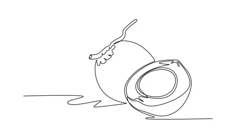 Animated self drawing of continuous line draw of whole and sliced healthy s.. Stock Footage 276529900