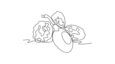 Animated self drawing of continuous line draw of stack whole healthy organi.. Stock Footage 276846229
