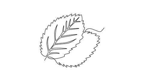 Animated self drawing of continuous line draw of healthy freshness organic .. Stock Footage 281242968