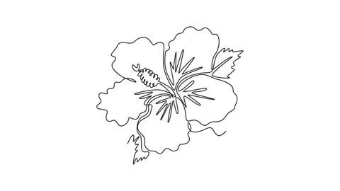 Animated self drawing of continuous line draw beauty fresh hibiscus for par.. Stock-Footage 291023784