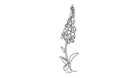 Animated self drawing continuous line draw beauty fresh foxglove for garden.. Stockbeeldmateriaal 300467412