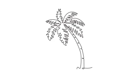 Animated self drawing continuous line draw coconut tree logo icon. Decorati.. Stock Footage 301604450