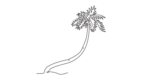 Animated self drawing of continuous line draw cocos nucifera. Decorative co.. Stock Footage 301604465