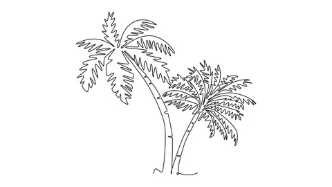 Animated self drawing of continuous line draw coconut tree logo icon. Decor.. Stock Footage 301604470