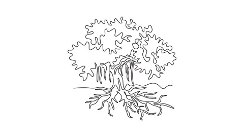 Animated self drawing of continuous line draw shady and leafy banyan tree f.. Stock Footage 301604494