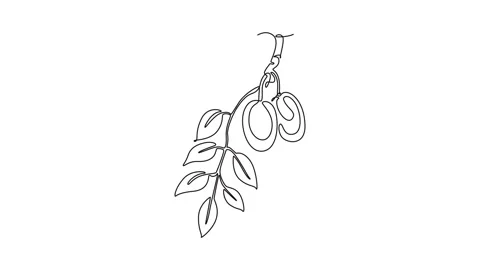 Animated self drawing of continuous line draw pile healthy organic marula f.. Stock Footage 301604496