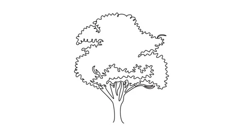 Animated self drawing of continuous line draw exotic Japanese sakura tree f.. Stock Footage 302546924
