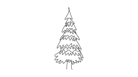 Animated self drawing of continuous line draw beauty and exotic pine tree l.. Stock Footage 302951333