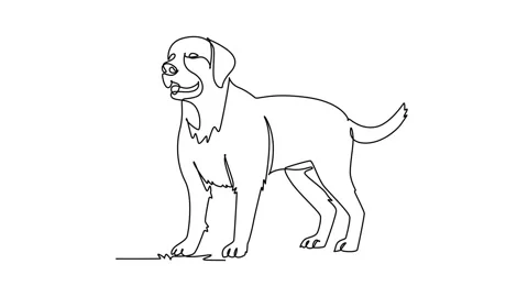 Animated self drawing of continuous line draw pet dog standing proudly in a.. Stock Footage 344920017