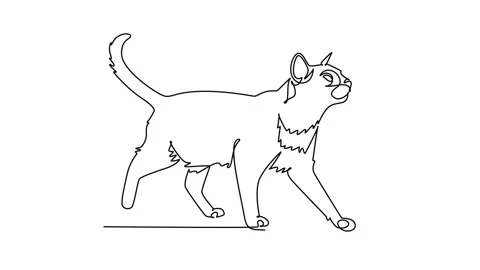 Animated self drawing of continuous line draw pet cat walking gracefully fo.. Stock Footage 344920018