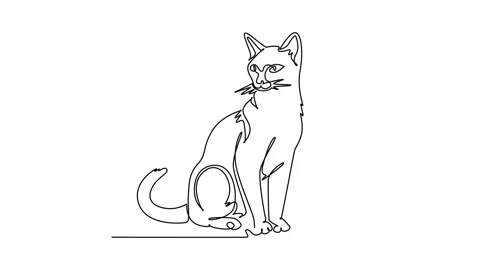 Animated self drawing of continuous line draw cat sitting upright calmly, s.. Stock Footage 344920028