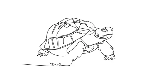 Animated self drawing of continuous line draw pet turtle tortoise crawling .. Stock Footage 344920043