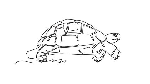 Animated self drawing of continuous line draw animal turtle tortoise crawli.. Stock Footage 344920044