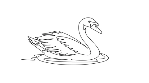 Animated self drawing of continuous line draw an animal swan swimming smoot.. Stock Footage 345110180