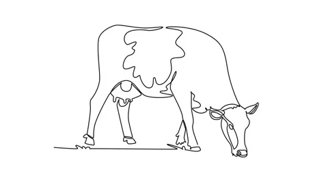 Animated self drawing of continuous line draw a dairy cow grazing calmly on.. Stock Footage 345110186
